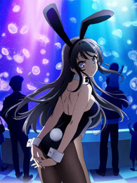 青春猪头少年不会梦到兔女郎学姐封面图