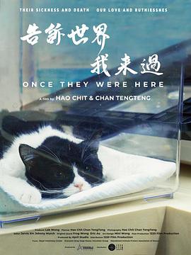 大话西游：至尊宝
